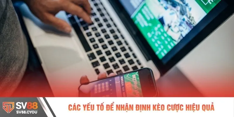Các yếu tố để nhận định kèo cược hiệu quả